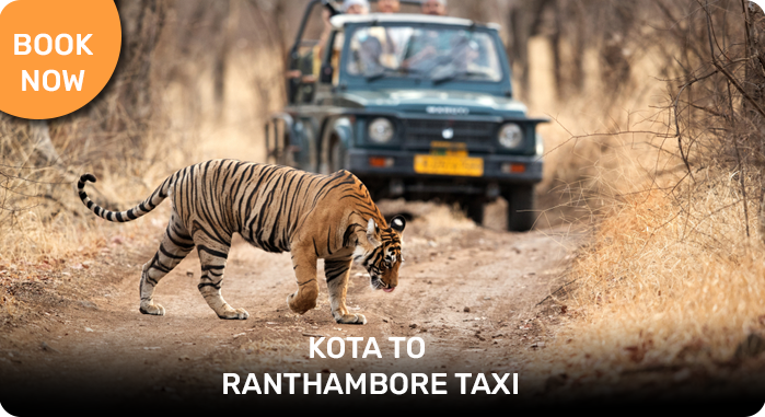 Kota to ranthambore taxi